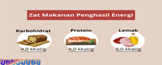 Makanan Energi: Saran untuk Menambah Tenaga, Dijamin Enak!